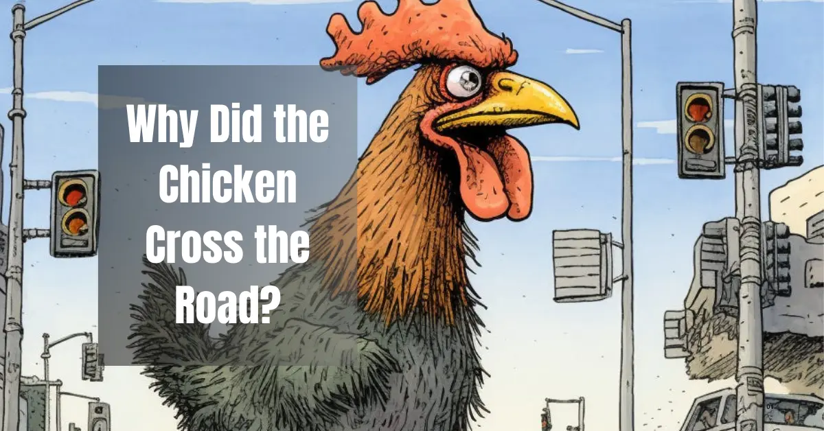 Why Did the Chicken Cross the Road