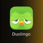 Why Does Duolingo Look Old